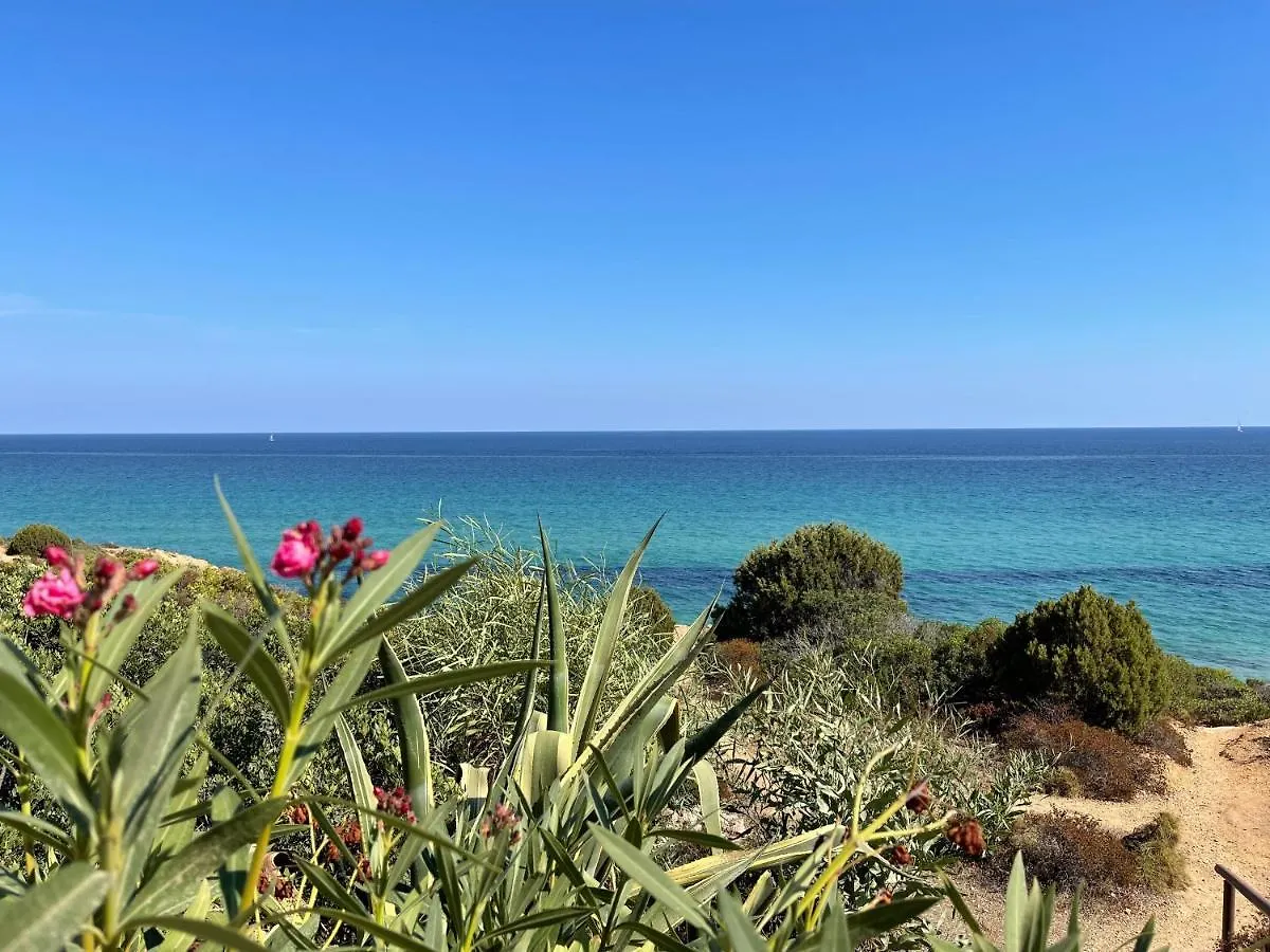 דירות פולה Casa Pinus איטליה